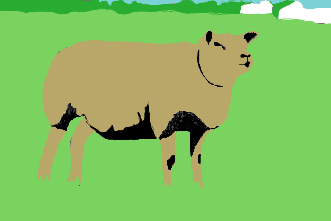 Schaap totemdier van de 23ste Gene Key
