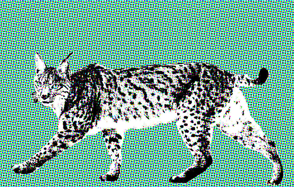 Lynx, totemdier van de 62ste Gene Key
