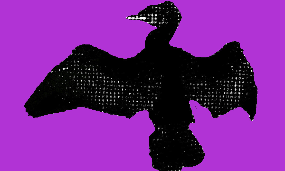 Aalscholver, totemvogel van de 9de Gene Key