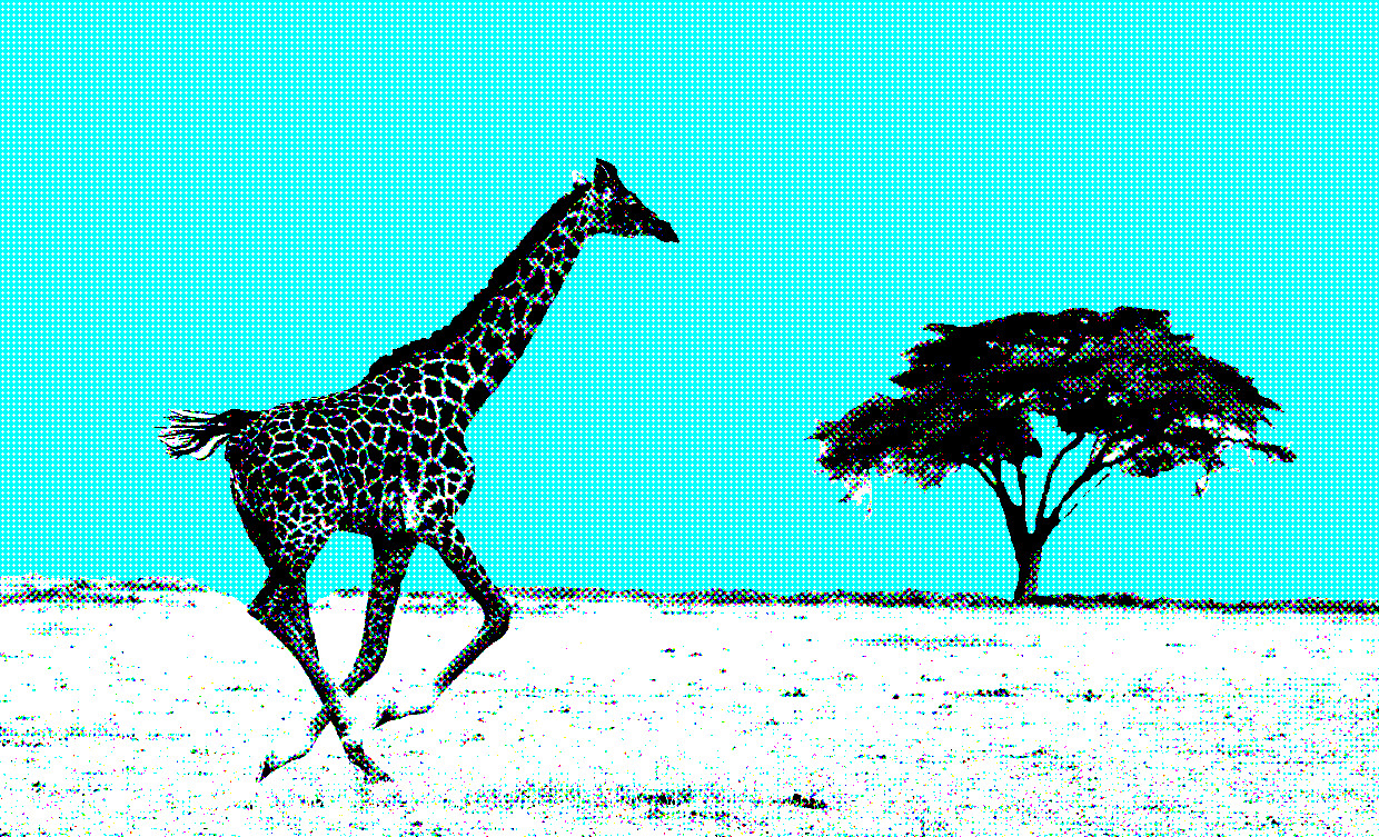 Giraf, Totemdier van de 17de Gene Key