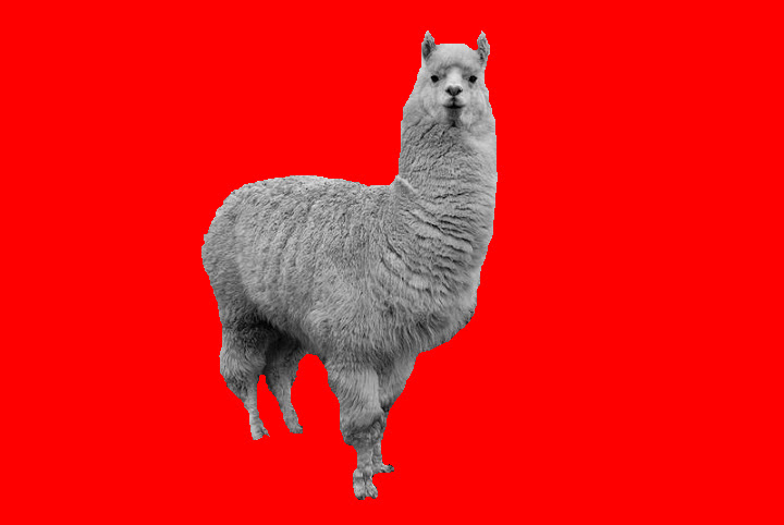 Lama, totemdier van de 42ste Gene Key