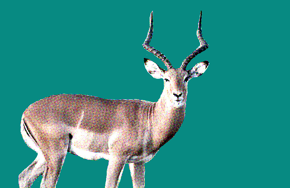 Antilope Totemdier van de 58ste Gene Key