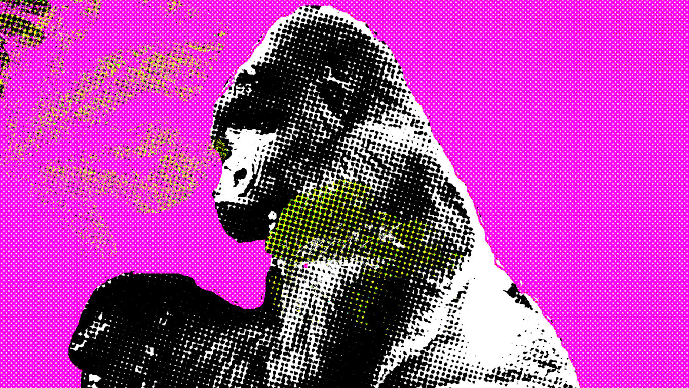 Gorilla, totemdier van de 59de Gene Key