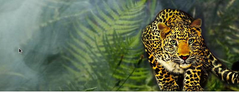 Retraite met de jaguar