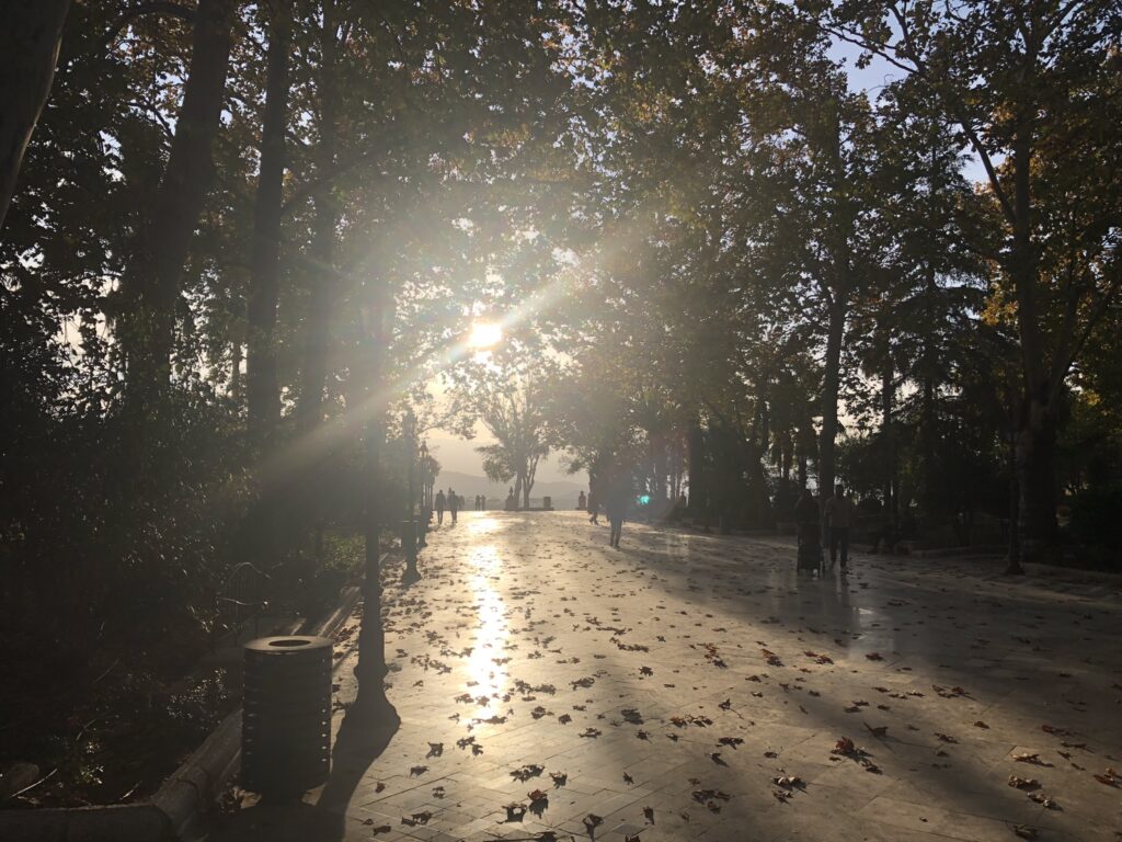 Gouden bubbelenergie in het Alamedapark van Ronda.